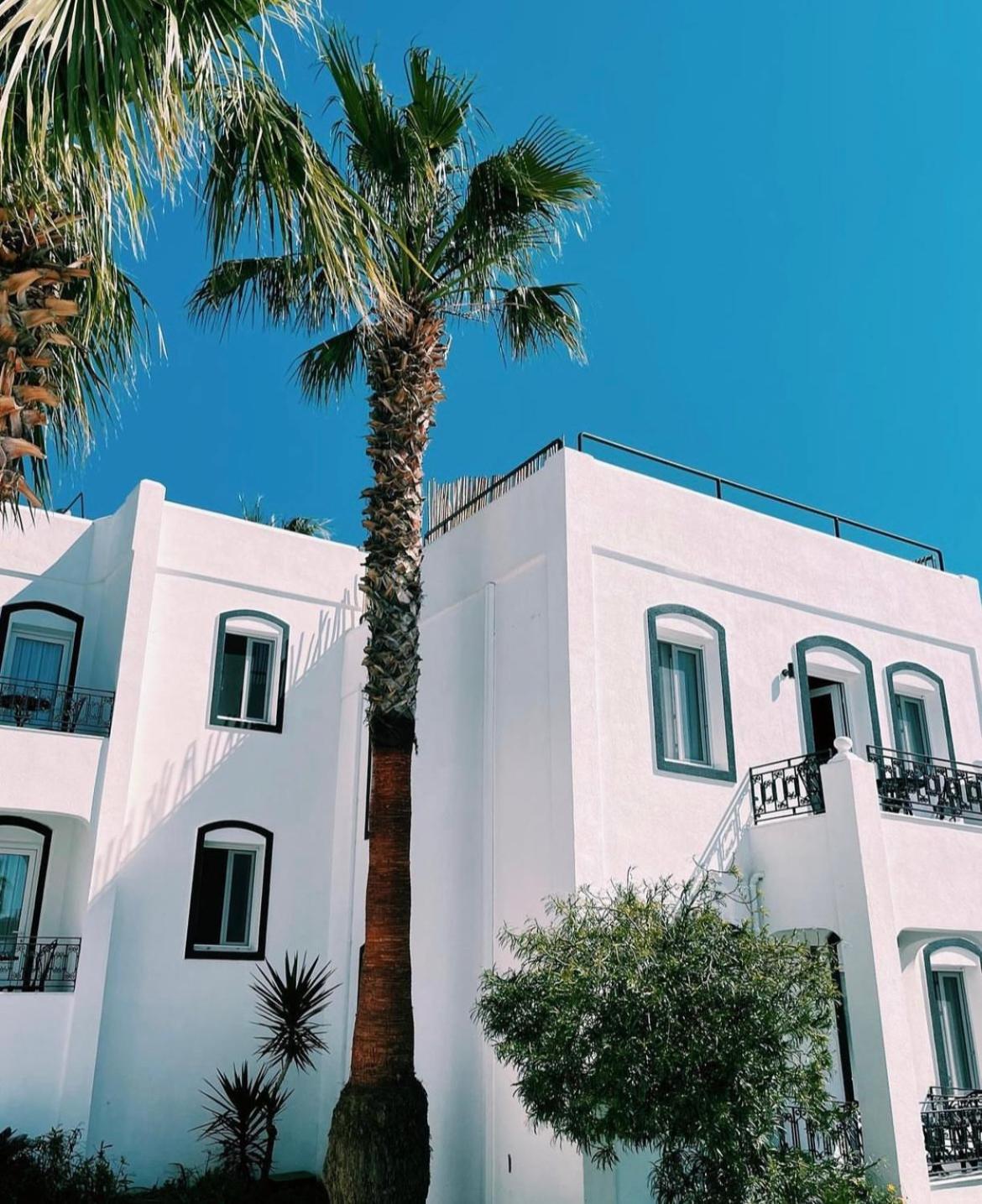 Yalinn Boutique Hotel Yalıkavak Eksteriør bilde
